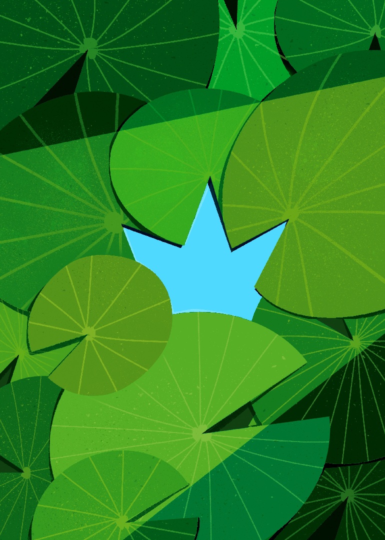frosch