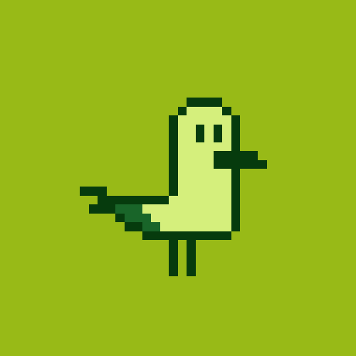 seagull